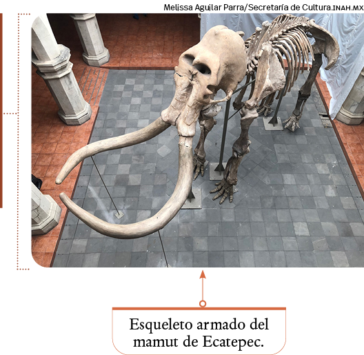 Melissa Aguilar Parra Secretaría de Cultura inah m