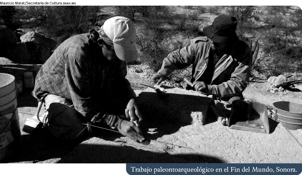 Mauricio Marat Secretaría de Cultura inah mx,Trabajo paleontoarqueológico en el Fin del Mundo, Sonora