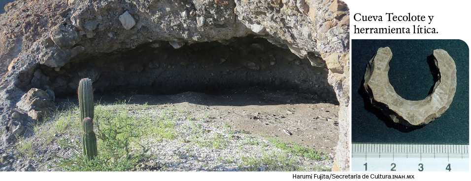Harumi Fujita Secretaría de Cultura inah mx,Cueva Tecolote y herramienta lítica