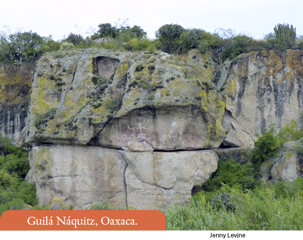 Jenny Levine ,Guilá Náquitz, Oaxaca