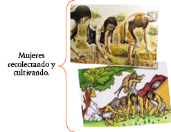 Mujeres recolectando y cultivando