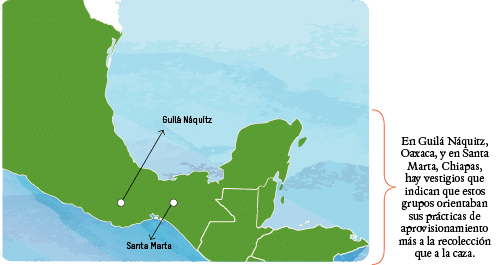 México, grandeza y diversidad. Fascículo La domesticación de especies