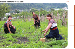 Jessica Belmont Flickr co