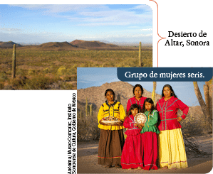 Anónima  Museo Comca  ac, Instituto Sonorense de Cultura, Gobierno de México,Grupo de mujeres seris ,Desierto de Alta   
