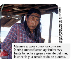 Anónima Instituto Nacional de los Pueblos Indígenas, Gobierno de México,Algunos grupos como los comcáac (seris), nunc   