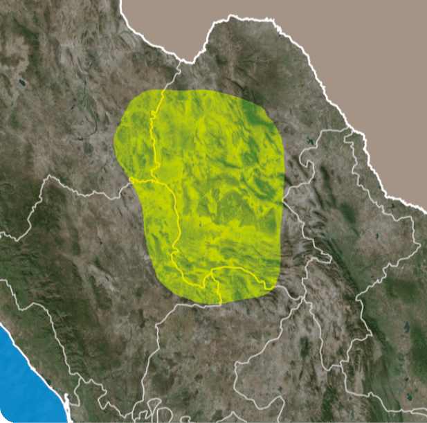 Desaturated shape of Mexico with its capital, main regional division and the separated Hidalgo area  Labels  Satellite imagery  3D rendering