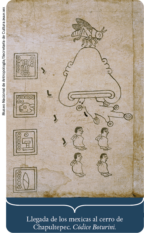 Museo Nacional de Antropología Secretaría de Cultura inah m