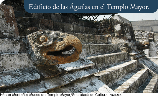 Héctor Montaño  Museo del Templo Mayor Secretaría de Cultura inah mx,Edificio de las Águilas en el Templo Mayor