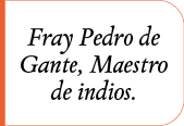 Fray Pedro de Gante, Maestro de indios