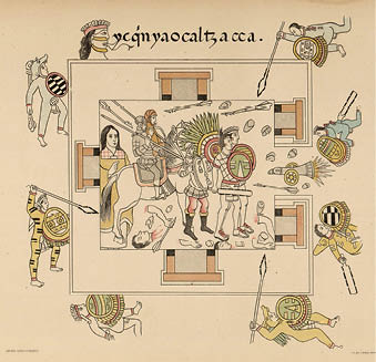 Matanza del templo mayor en la fiesta del Toxcalt, la frase