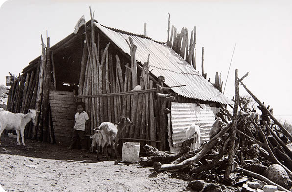 830483 Título:  Los muros del hambre , Colección: Incremento Acervo, Autor: Ignacio Rodríguez Monroy, Lugar de asunto: México, Fecha de asunto: ca  1998, Fecha de toma: ca  1998, Proceso: Impresión plata sobre gelatina    