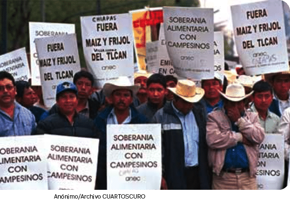 Anónimo Archivo CUARTOSCUR